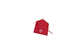 BUFFET CRAMPON - CLARINET PULL-THROUGH, MICRO FIBRE SUPPLIED WITH TOSCA CLARI