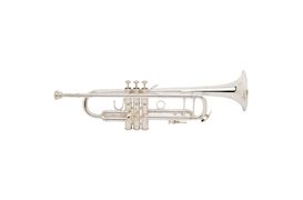 VINCENT BACH - 180S-37 STRADIVARIUS BES TROMPET ML VERZILVERD
