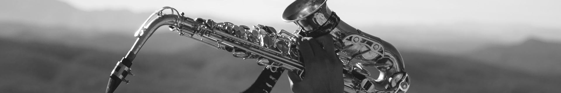 ch_blaasinstrumenten_by_william_rouse_02
