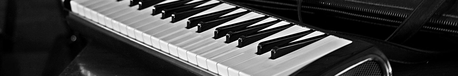 ch_melodica_by_joannafunk_02