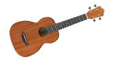 gtr_u-gitaar_01